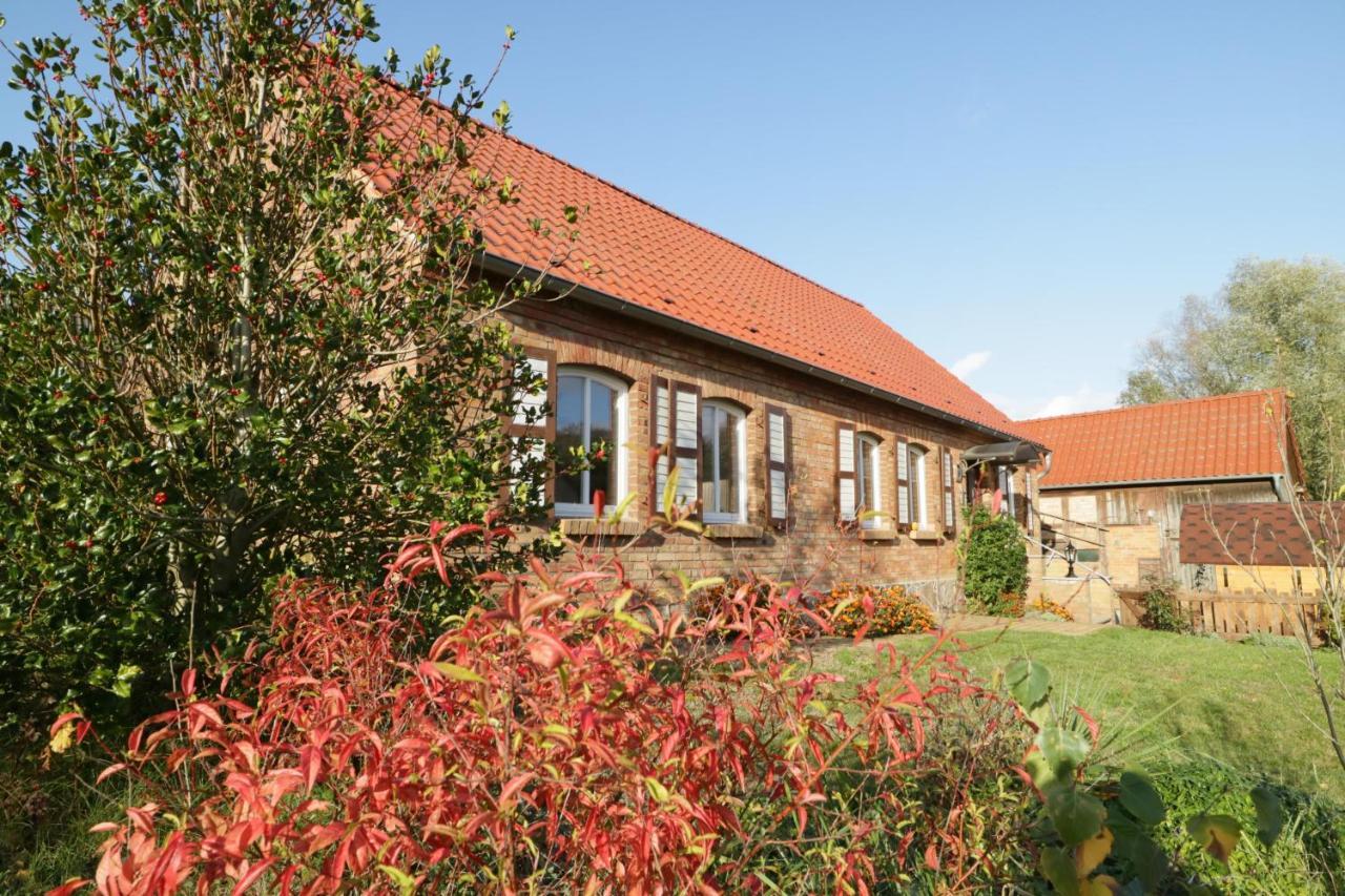 Buchholz  Ferienhaus Sommerfrische מראה חיצוני תמונה